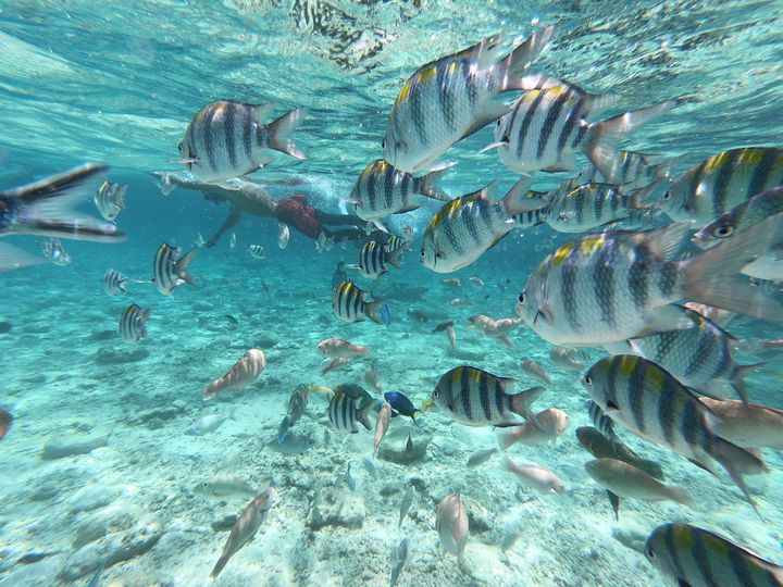 今春の旅行に！2泊3日"女子旅向け"海外旅行先&おすすめスポットまとめ