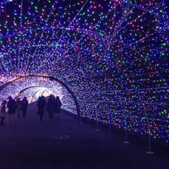 ニュース画像