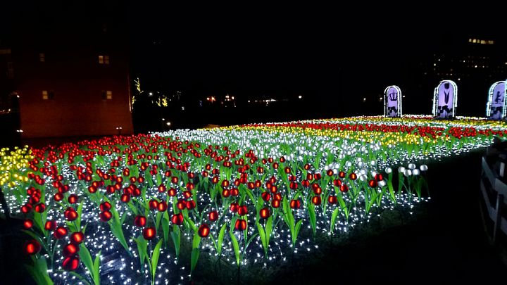 開催中 日本最多700品種 100万本のチューリップ祭 長崎 ハウステンボスで開催 Retrip リトリップ
