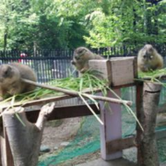 子供と楽しめる ドライブで行ける北陸地方の遊び場15選 Retrip リトリップ