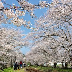 終了 春を感じる佐賀の旅 浦ノ崎駅 のさくらトンネルをご紹介 Retrip リトリップ