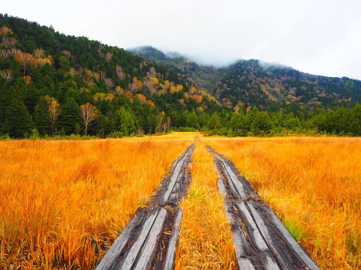 群馬県のかた写真撮ります ふらっと行けるフォトジェ帝国。群馬のフォトジェニックスポット6選