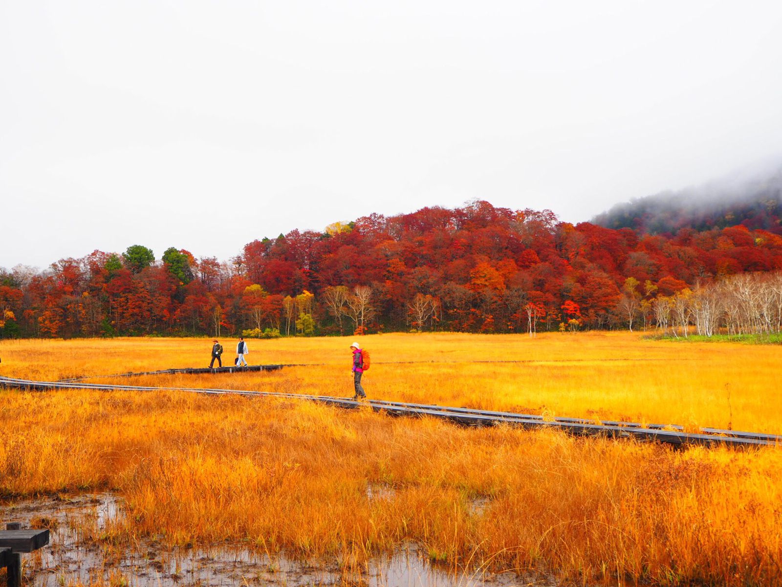 8枚目の画像 紅く染まる紅葉と君の頬 東京都内から ドライブデートで行ける 紅葉スポット10選 Retrip リトリップ