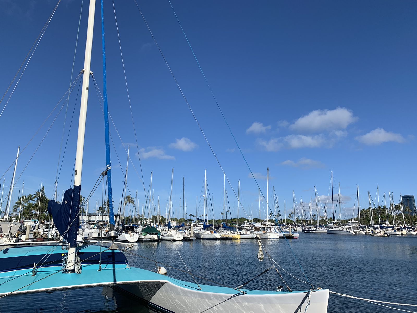 アラワイ ヨット ハーバー Ala Wai Yacht Harbor Retrip リトリップ