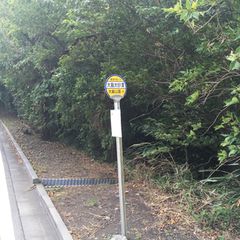 日本で唯一の砂漠 は東京にあった 伊豆大島の 裏砂漠 って知ってる Retrip リトリップ