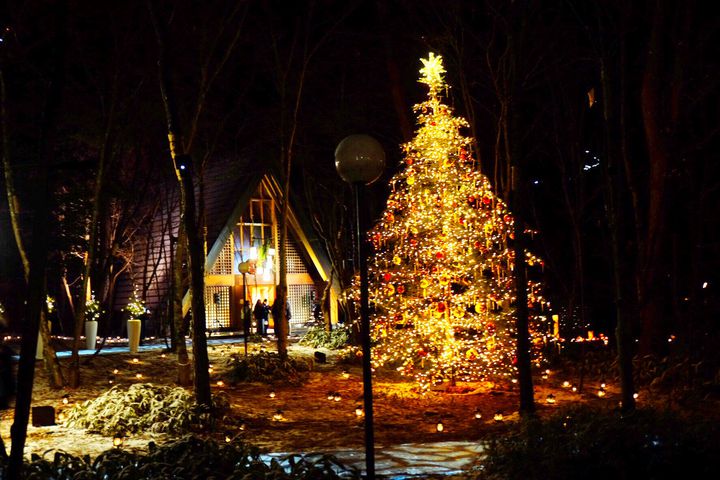終了 光が森を優しく包む 軽井沢高原教会 星降る森のクリスマス 開催 Retrip リトリップ