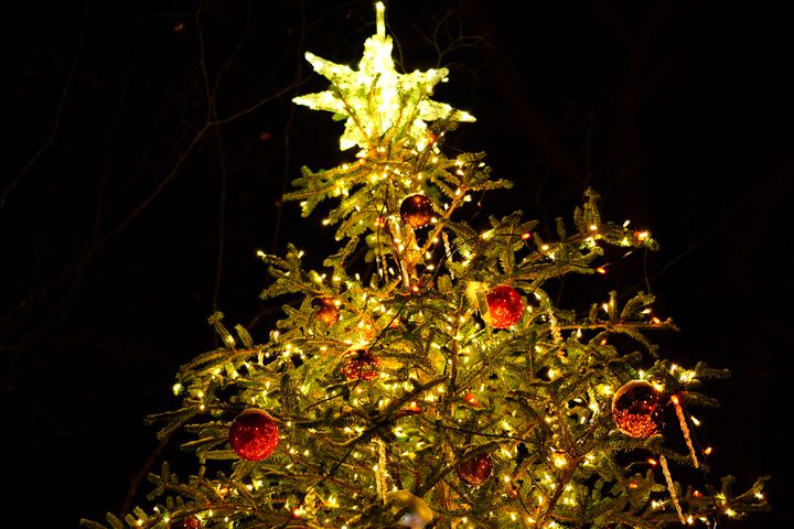 終了 光が森を優しく包む 軽井沢高原教会 星降る森のクリスマス 開催 Retrip リトリップ