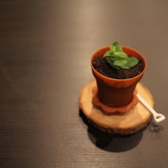 ニュース画像