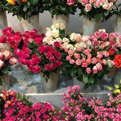 花束に想いを寄せて 特別な日に贈りたいお洒落なお花屋7選 Retrip リトリップ