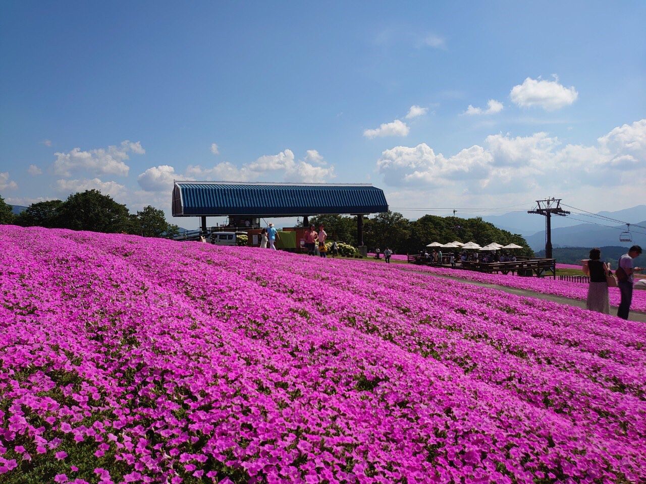 ひるがの高原 Retrip リトリップ