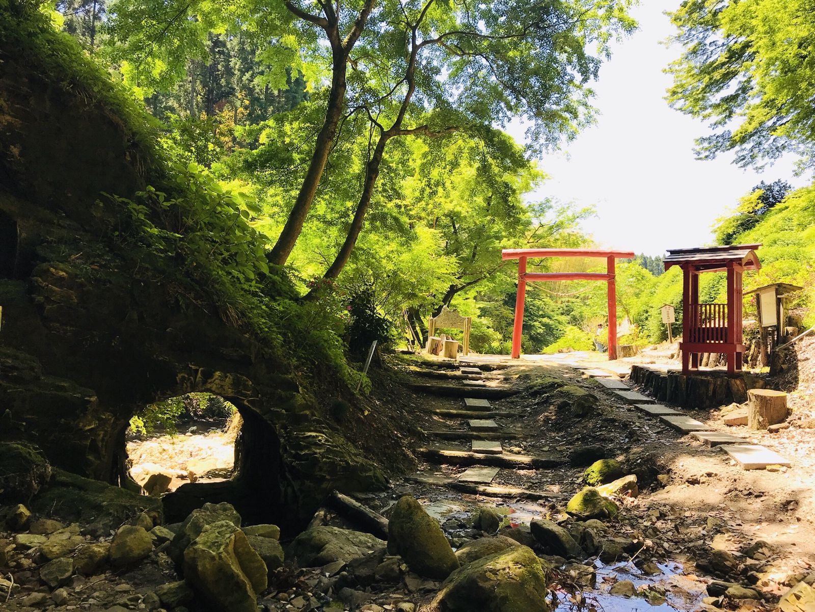 d199327d-f27c-45b4-95a1-