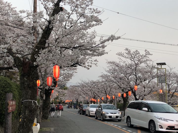 休日が10倍楽しみになる！五月山公園の楽しみ方5選