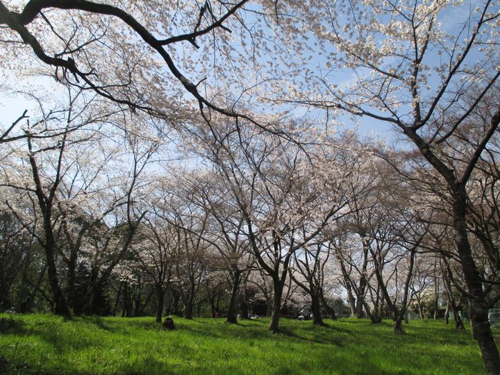 休日が10倍楽しみになる 五月山公園の楽しみ方5選 Retrip リトリップ