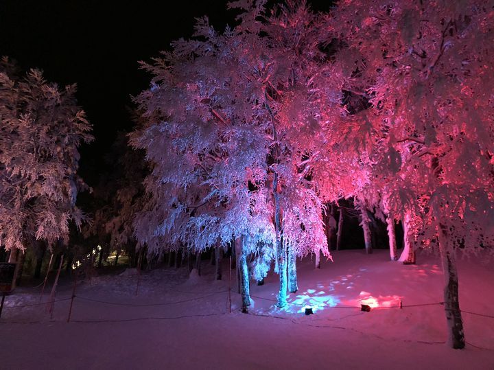 led 雪 アート ストア 地方