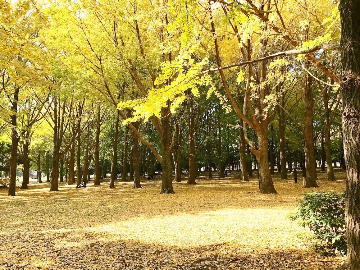 7枚目の画像 秋はおしゃれにピクニック 東京近郊の おしゃピクスポット 10選 Retrip リトリップ