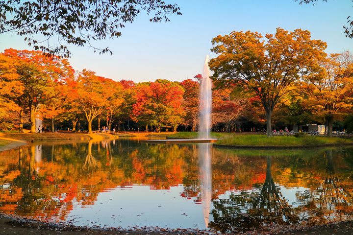 9月23日は“秋分の日”。来る秋を感じる1日お出かけプランはこれだ