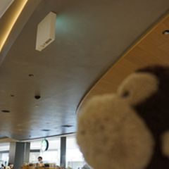 21最新 福岡空港駅周辺の人気カフェ 喫茶ランキングtop24 Retrip リトリップ