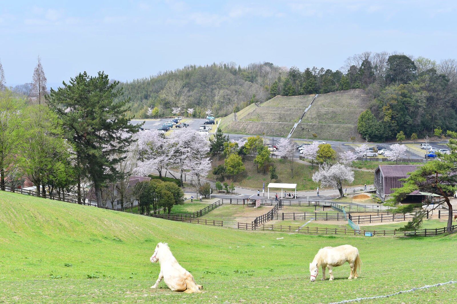 最新 東海地方の人気動物園 水族館ランキングtop30 Retrip リトリップ