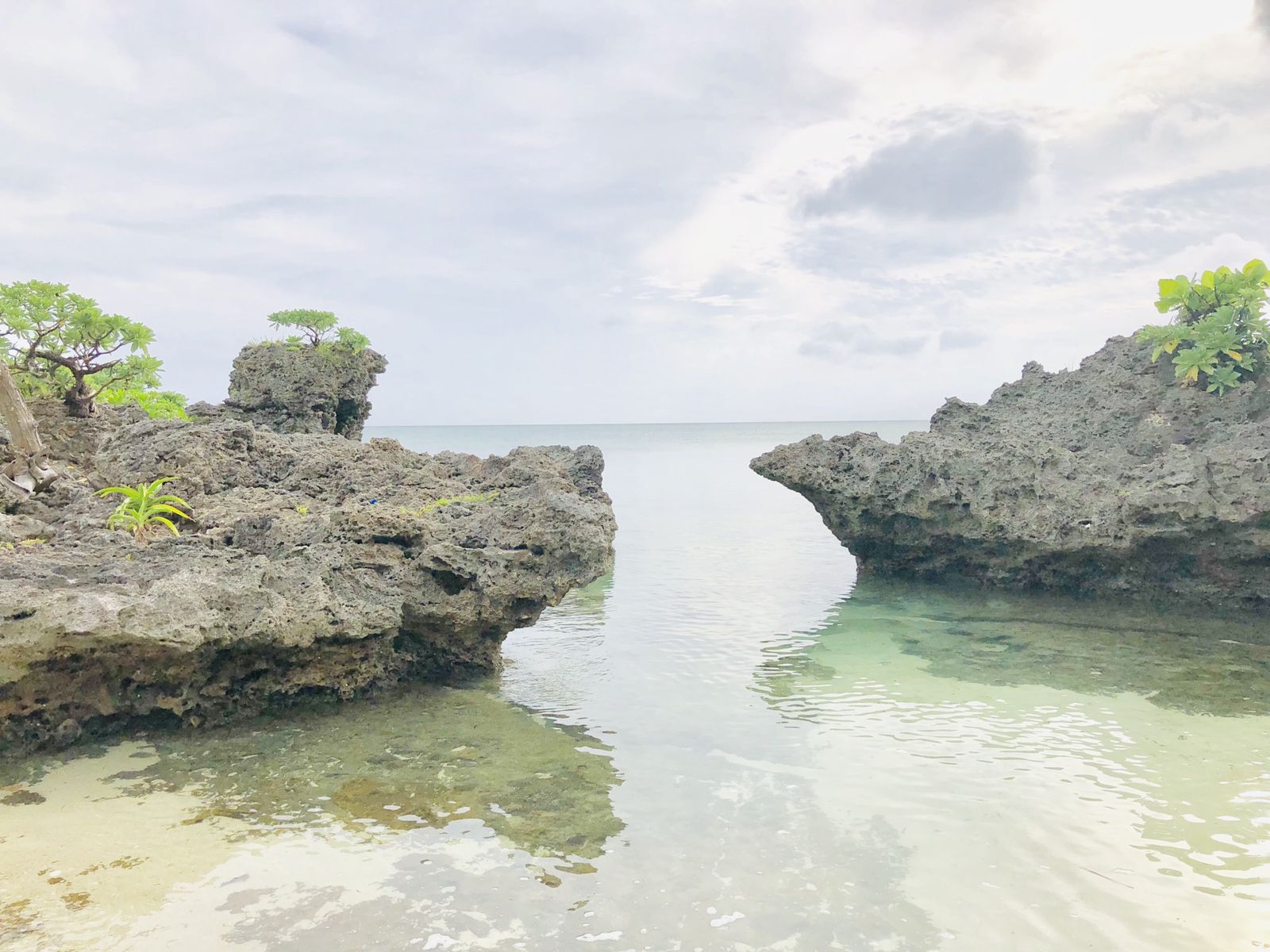 川平タバガー Retrip リトリップ