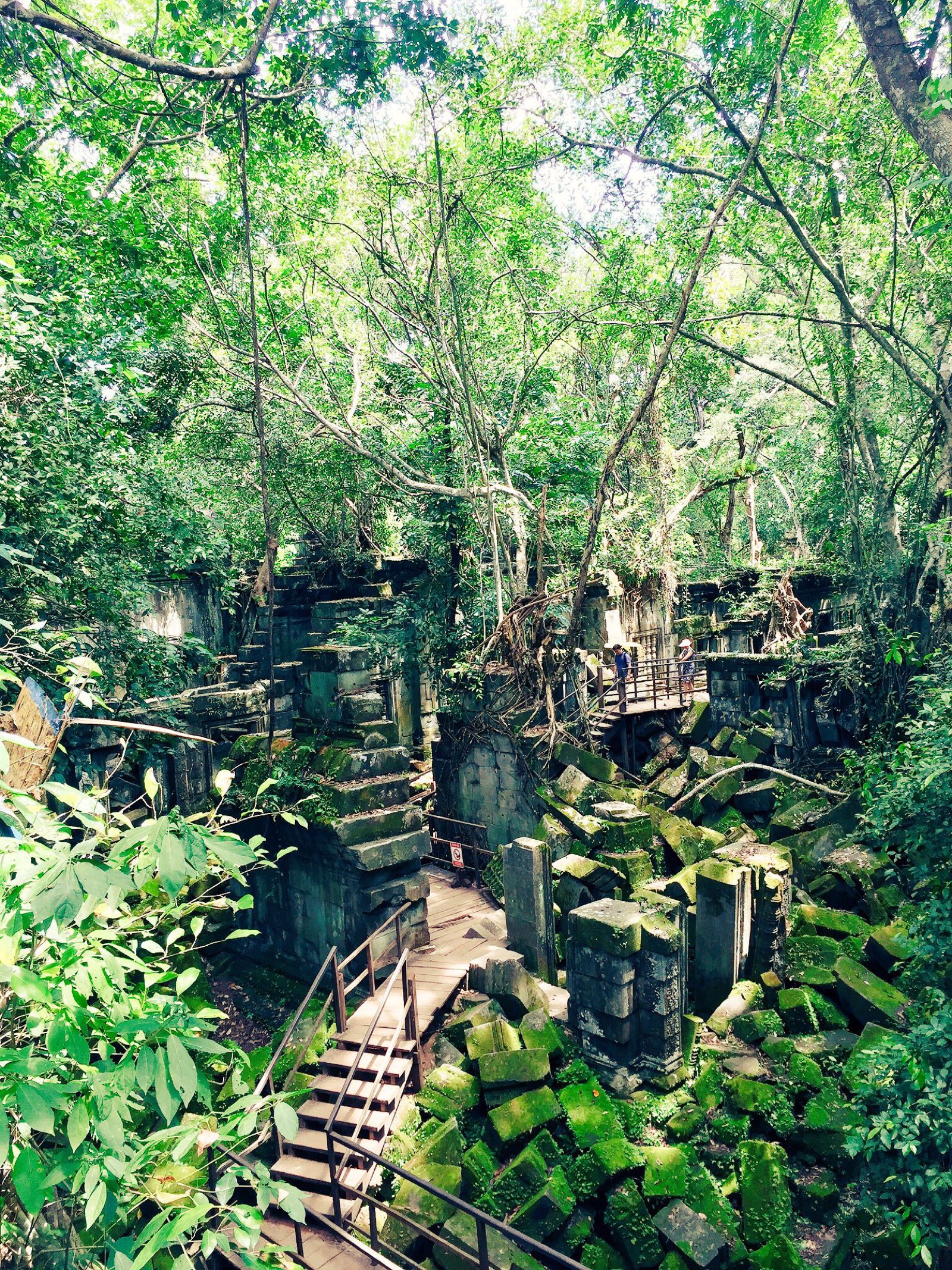 まるで物語の世界 カンボジアの ベンメリア遺跡 が神秘的すぎる Retrip リトリップ