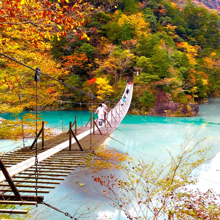 青の絶景の秋を見つけよう。日本国内にある青と紅葉の絶景スポット10選
