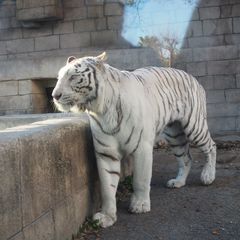 1日じゃ遊び足りない 東武動物公園 でこれだけはしたい5つのこと Retrip リトリップ