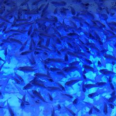 子供連れ必見 愛知県で子供と遊べる遊び場５選 Retrip リトリップ