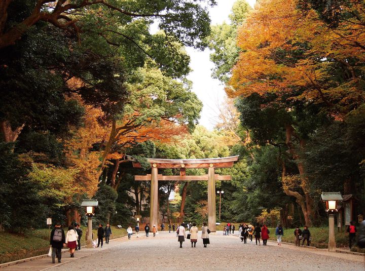 世界屈指の風水都市「東京」のおすすめパワースポット15選