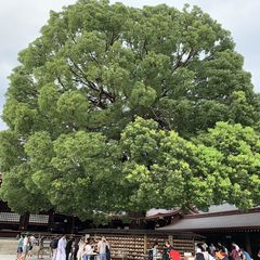 難易度別 一人でふらっと気分転換 関東の日帰りおすすめ一人旅スポット12選 Retrip リトリップ