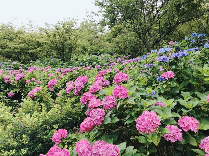 外房黒潮ラインドライブで立ち寄りたい 勝浦の観光スポット10選 Retrip リトリップ