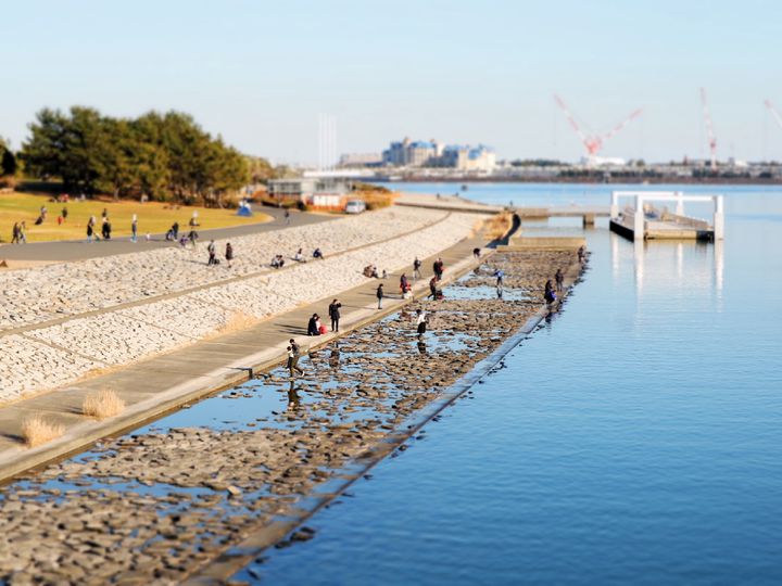 この春は海を見に行こう 東京都内の絶景 海が見える 公園5選 Retrip リトリップ