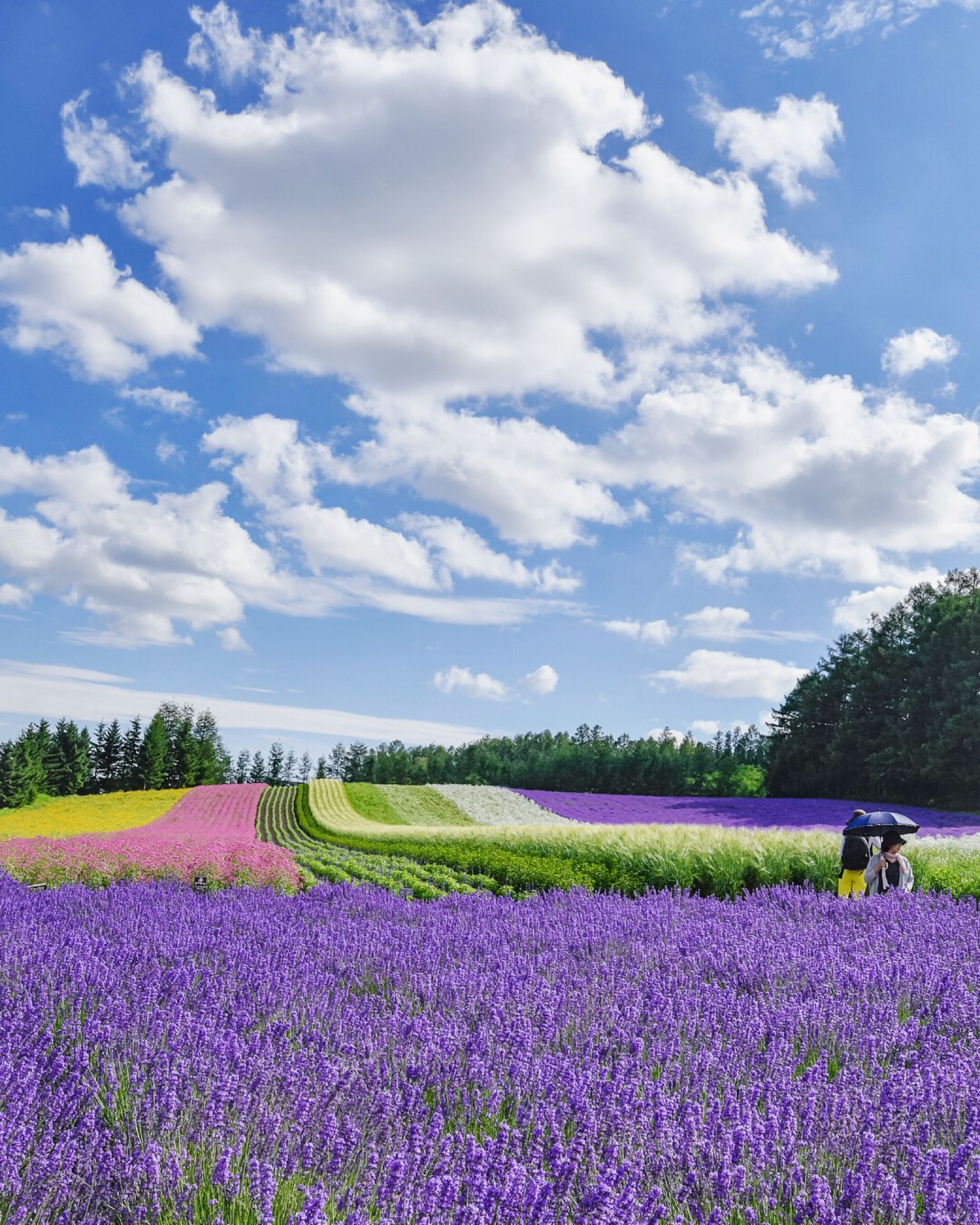 涼しく可愛く 夏旅 したい 夏の北海道 で行きたい厳選スポット14選 Retrip リトリップ