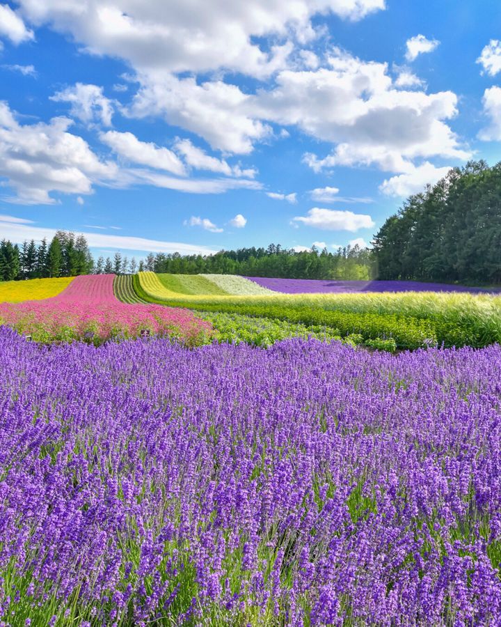 スケールに圧倒される！北海道で“この夏行きたい”スポット9選【2023年】