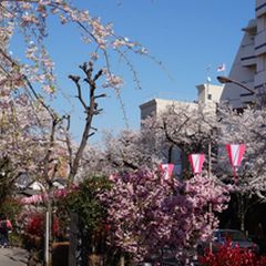 最新 茗荷谷駅周辺の人気観光スポットランキングtop24 Retrip リトリップ