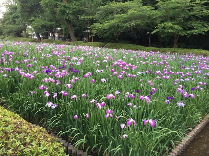 次の旅先はここに決定！長崎・大村市でしたい6つのこと RETRIP[リトリップ]