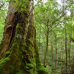 b8ec7e4f-e067-42d9-b9b5-