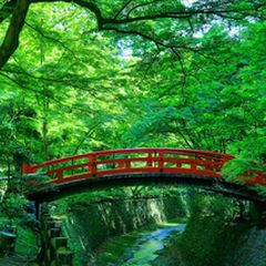 ニュース画像