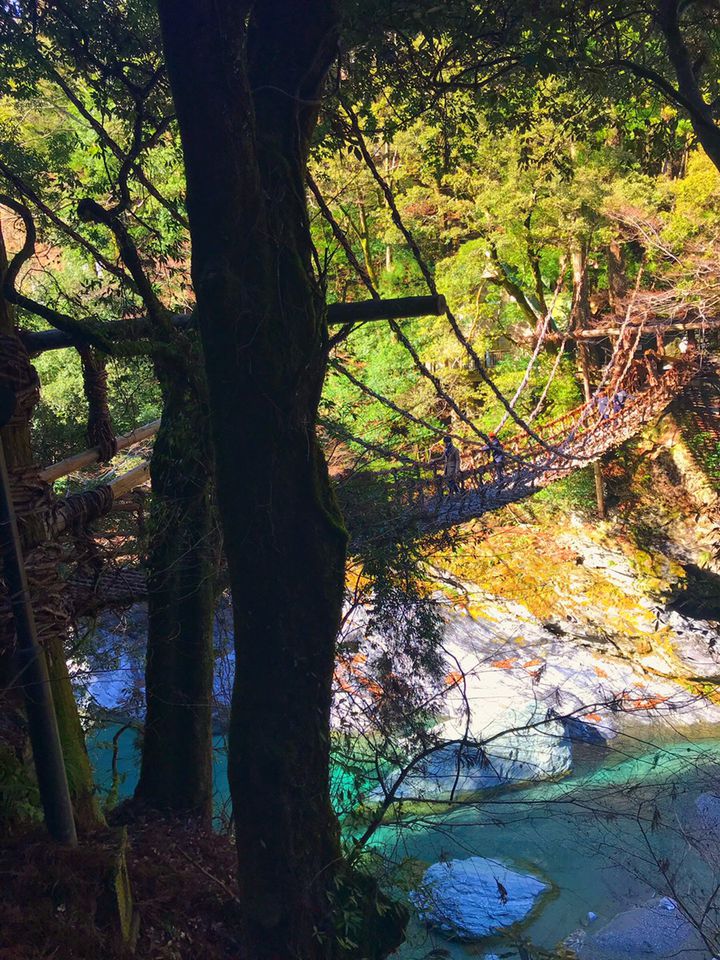 恐怖と神秘は紙一重 徳島 祖谷渓のかずら橋は紅葉の時期に絶景を作りだす Retrip リトリップ