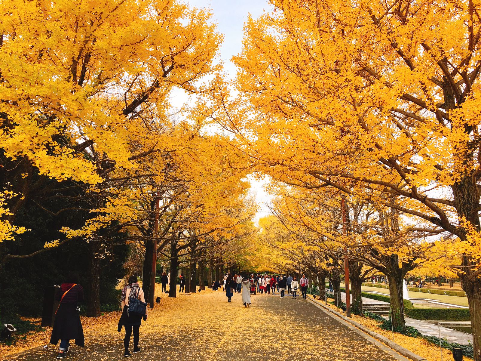 お出かけしたくなる季節 秋の景色が広がる日本国内の絶景スポット7選 Retrip リトリップ