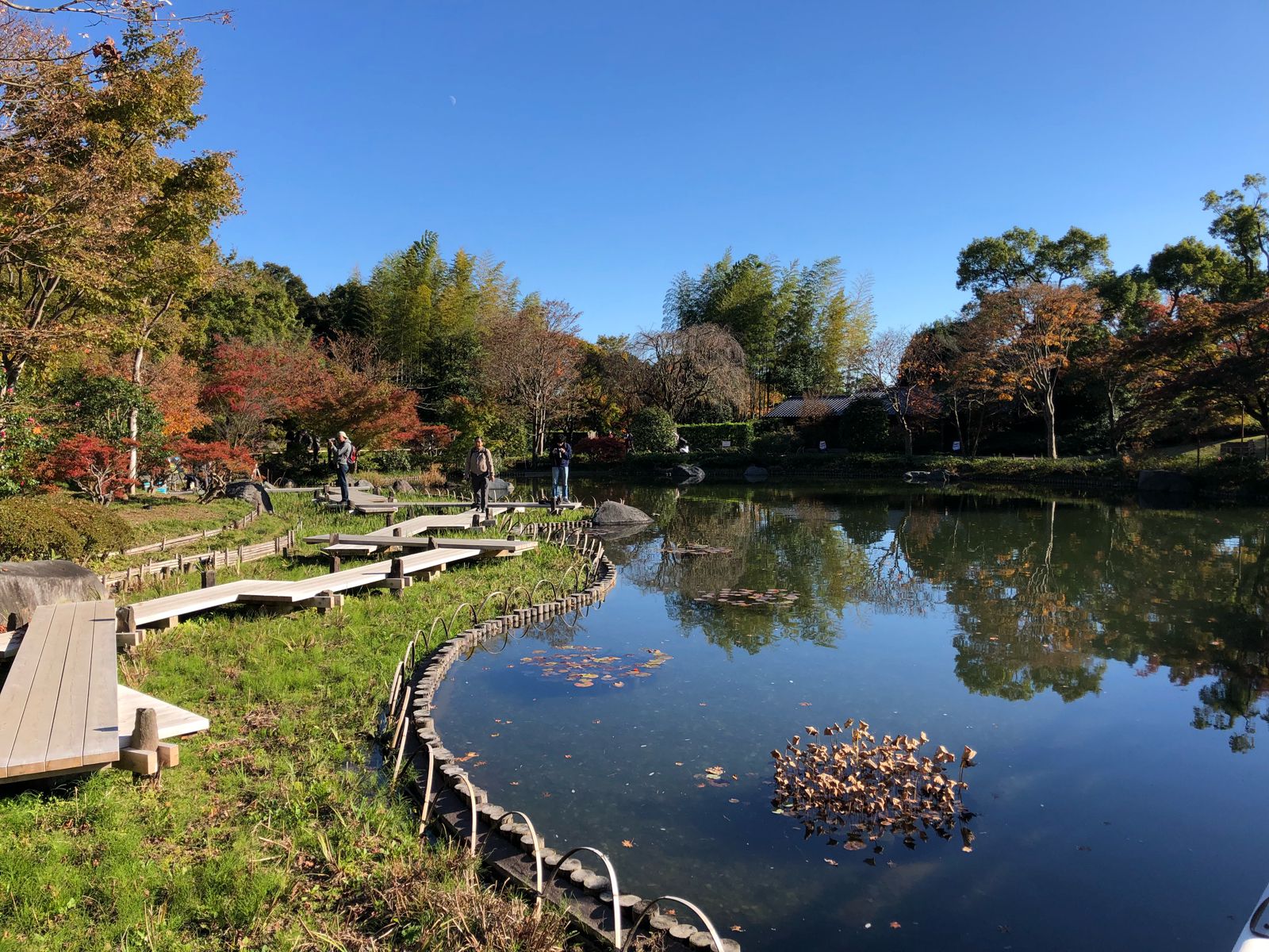 仲が深まるデート 立川の 国営昭和記念公園 がデートにおすすめな5つの理由 Retrip リトリップ