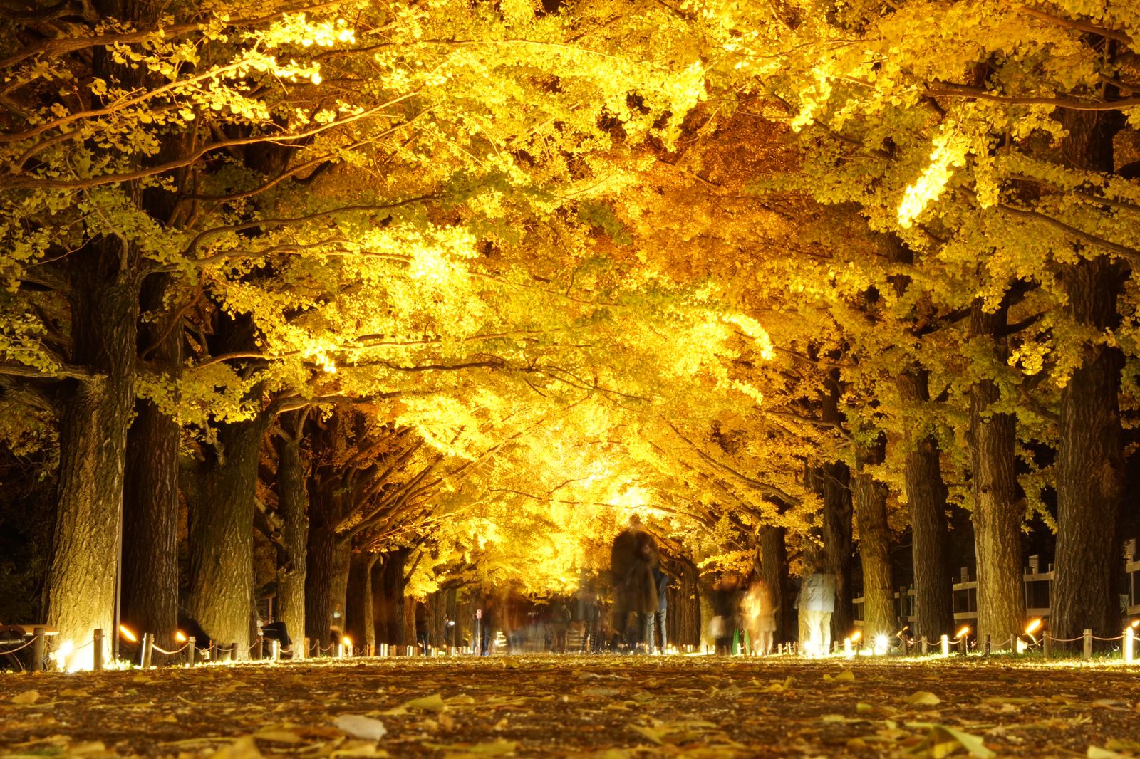 メイン画像 本格的な秋到来 秋を感じる関東地方で今週したいこと8選 Retrip リトリップ