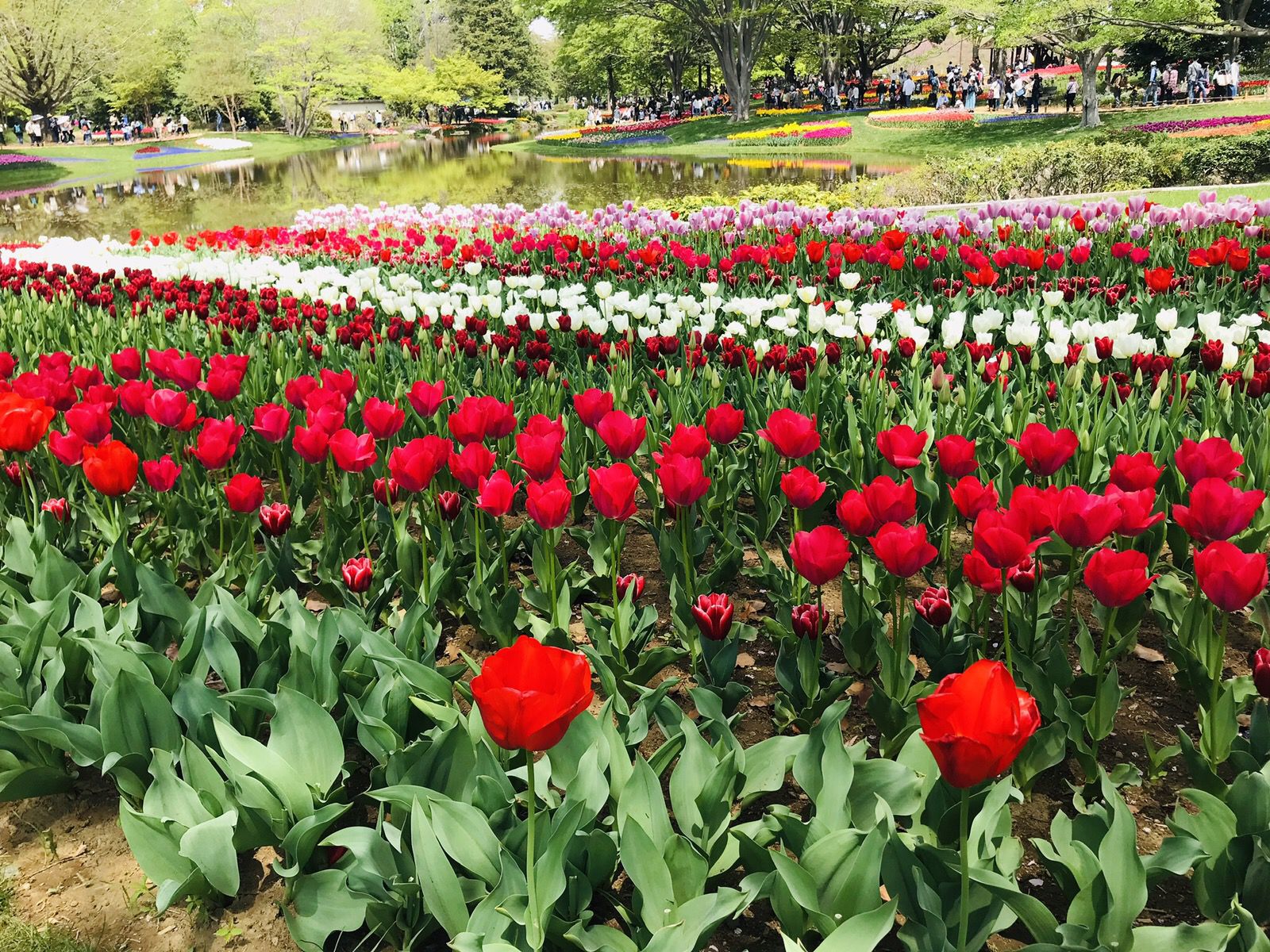 メイン画像 おしゃピク 始めませんか ピクニックにおすすめな東京都内の公園10選 Retrip リトリップ