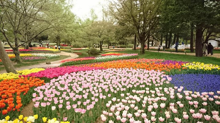 まるで絵本の世界 知る人ぞ知る川崎市の Solso Farm が魅力的すぎた Retrip リトリップ