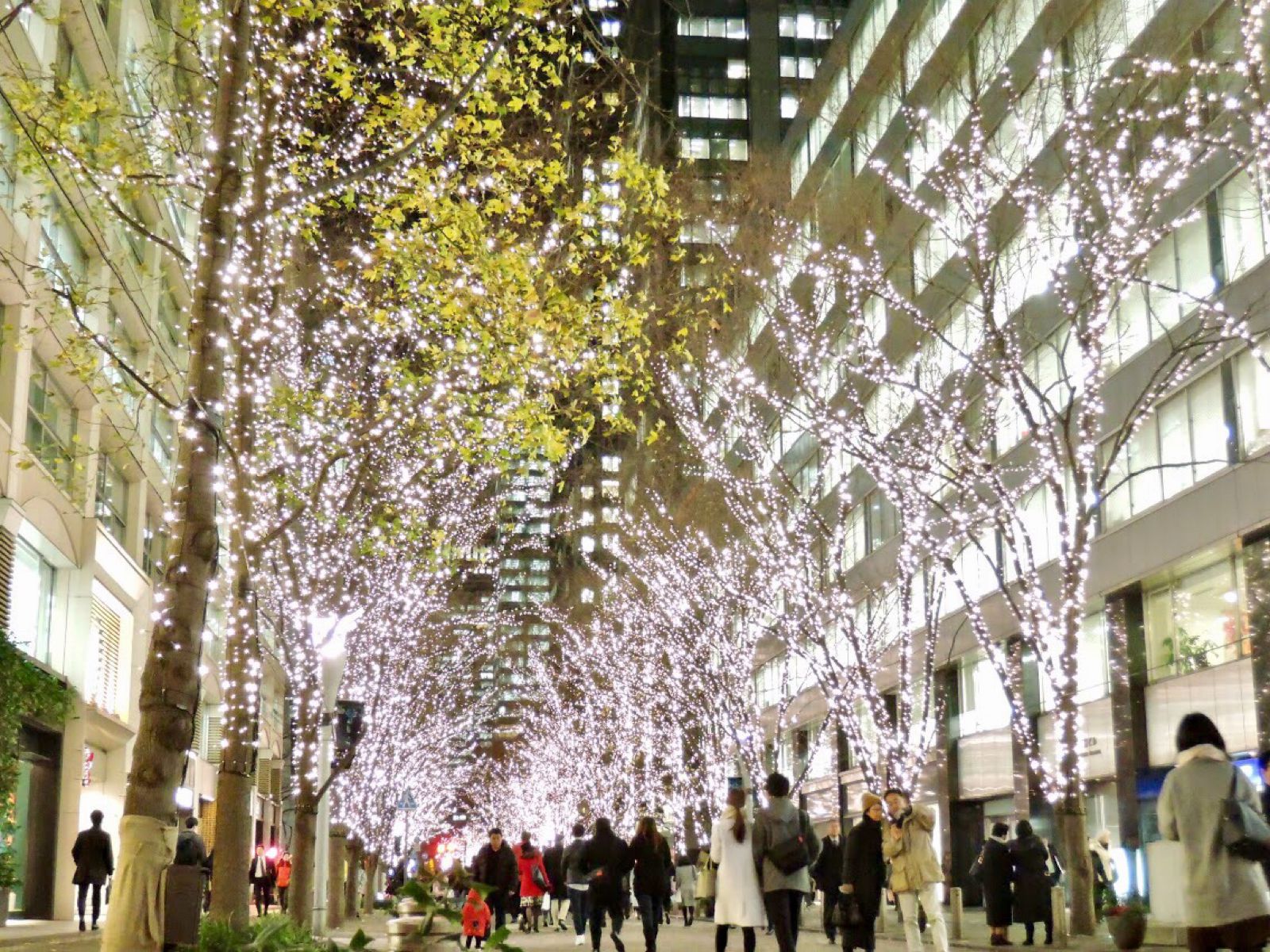 1枚目の画像 仕事帰りにデートしない 東京都内の冬に行きたい 夜のデートスポット 15選 Retrip リトリップ