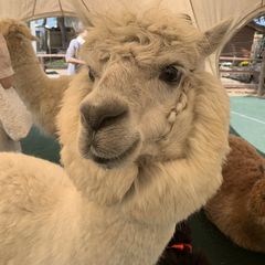 21最新 諏訪 南信の人気動物園ランキングtop2 Retrip リトリップ