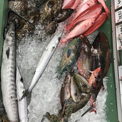 最新 沖縄市の人気魚介料理 海鮮料理ランキングtop28 Retrip リトリップ