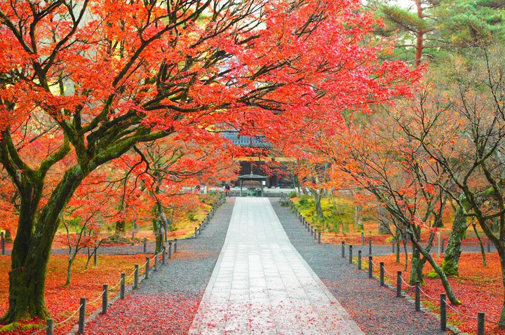 世界に誇る国NIPPONの魅力って何だろう“日本人が情緒を感じる”国内の原