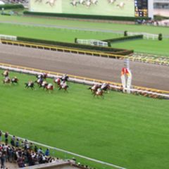 今どきデートならこれで決まり 大迫力のレースを見られる競馬 競輪 競艇場7選 Retrip リトリップ