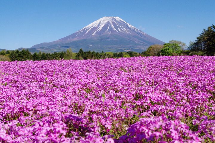 春、最高のドライブデートにいこう！恋人と行きたい日帰りデートスポット10選