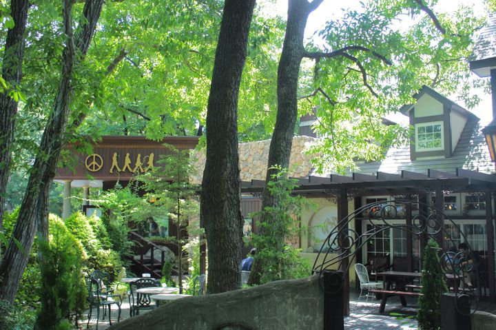 自然、動物、星空まで。那須でリフレッシュする1日ドライブプランをご紹介